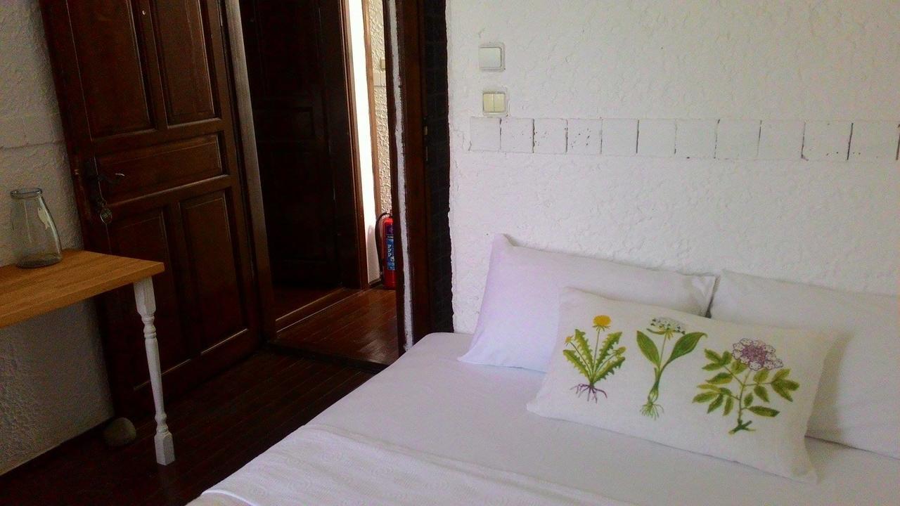 Assos Bohemian Hotel エクステリア 写真